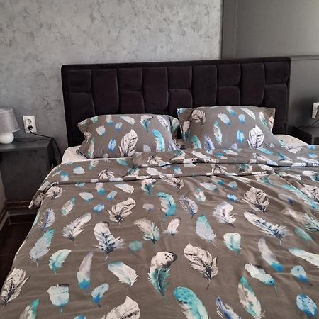 Stan Na Dan Dunja 2 Apartment Vrsac Ngoại thất bức ảnh