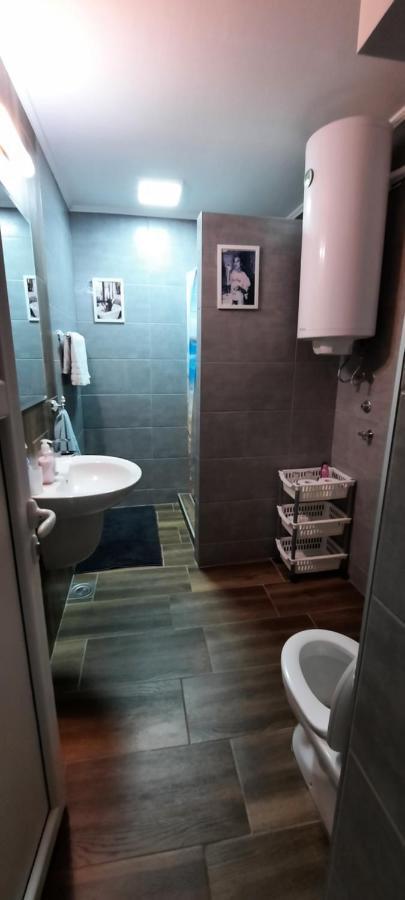 Stan Na Dan Dunja 2 Apartment Vrsac Ngoại thất bức ảnh