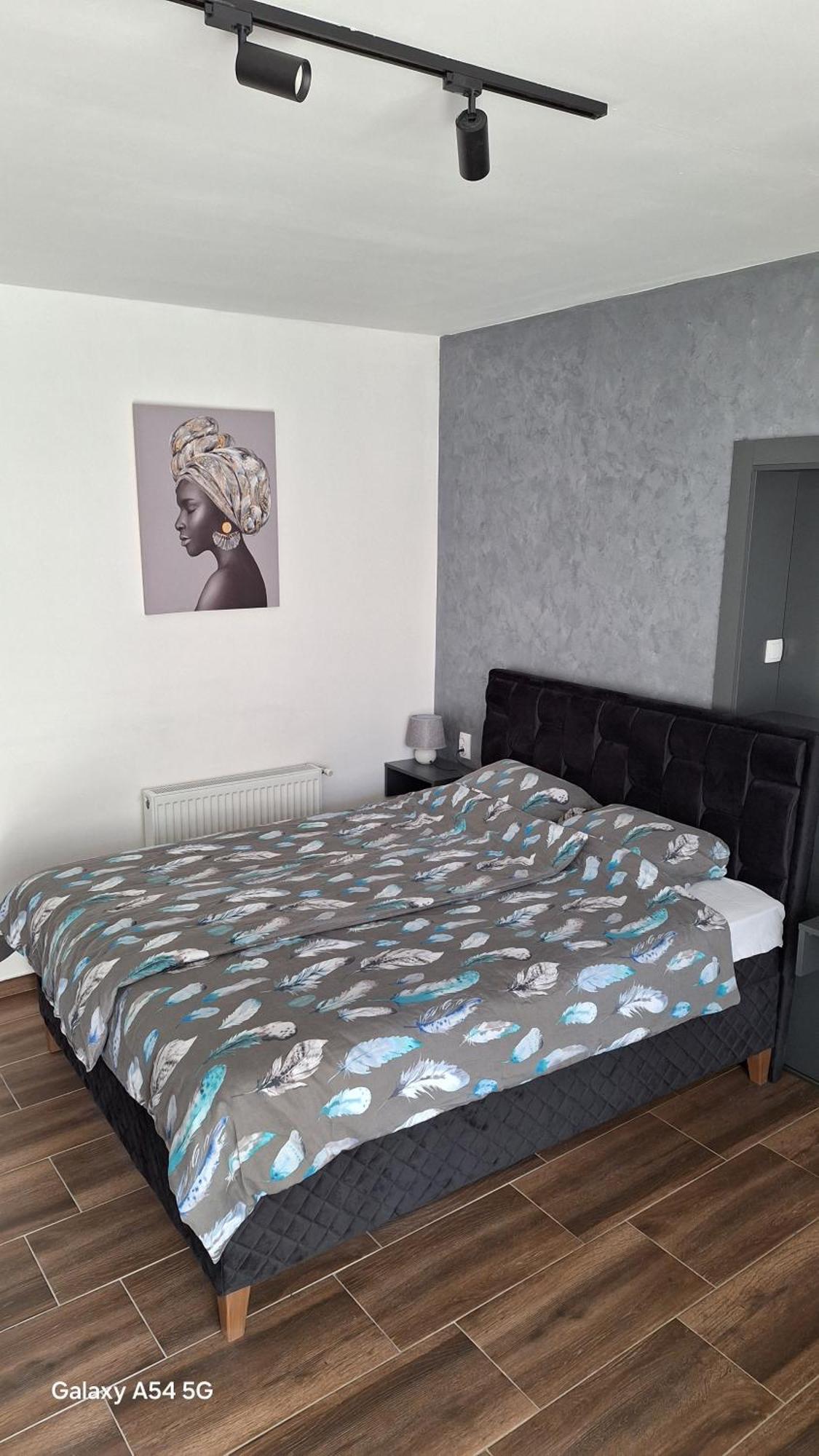 Stan Na Dan Dunja 2 Apartment Vrsac Ngoại thất bức ảnh
