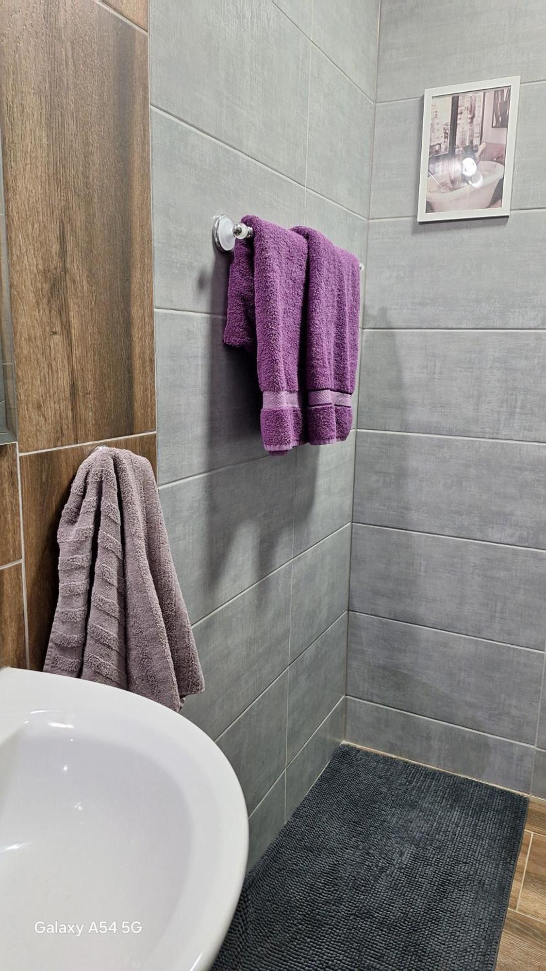 Stan Na Dan Dunja 2 Apartment Vrsac Ngoại thất bức ảnh