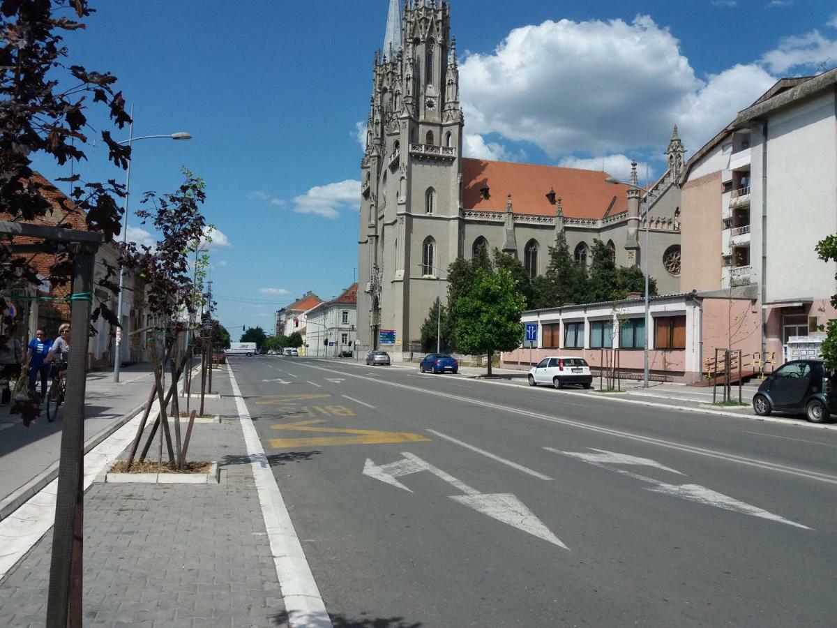 Stan Na Dan Dunja 2 Apartment Vrsac Ngoại thất bức ảnh