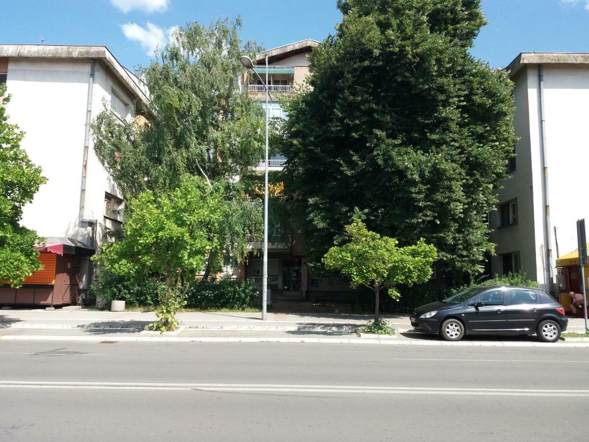 Stan Na Dan Dunja 2 Apartment Vrsac Ngoại thất bức ảnh