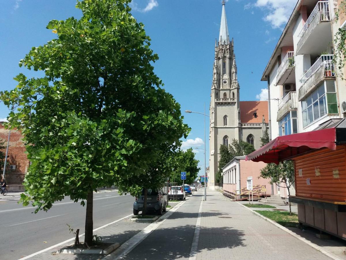 Stan Na Dan Dunja 2 Apartment Vrsac Ngoại thất bức ảnh