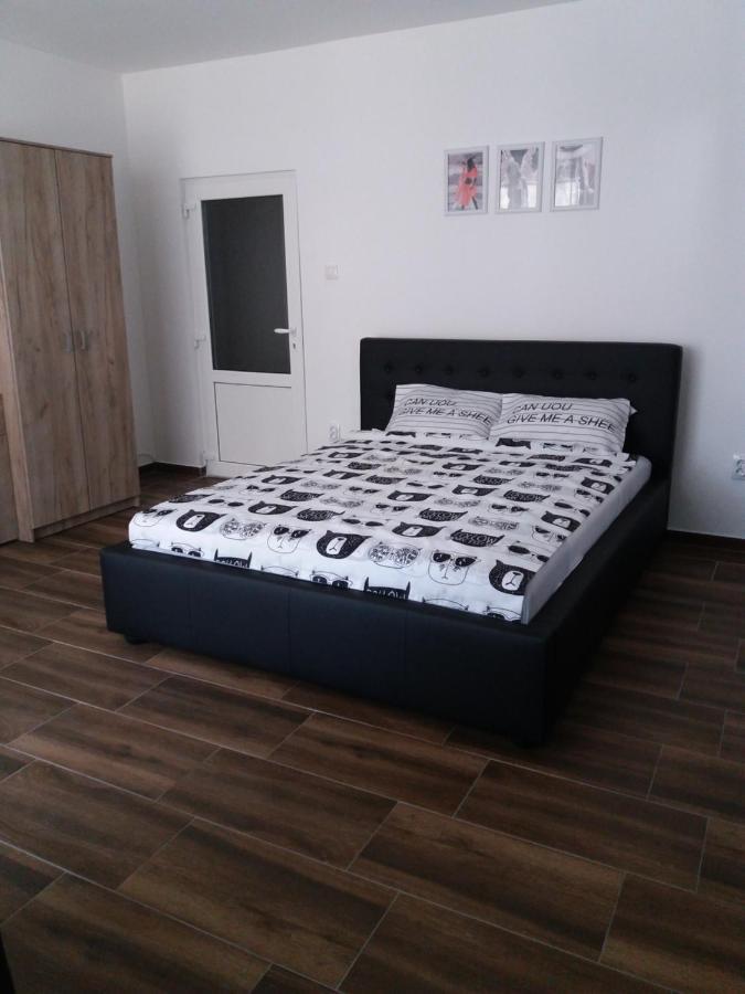 Stan Na Dan Dunja 2 Apartment Vrsac Ngoại thất bức ảnh