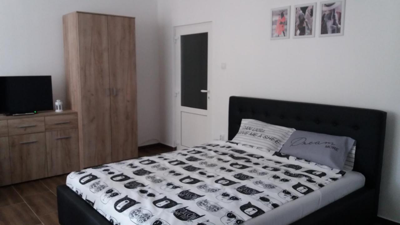 Stan Na Dan Dunja 2 Apartment Vrsac Ngoại thất bức ảnh