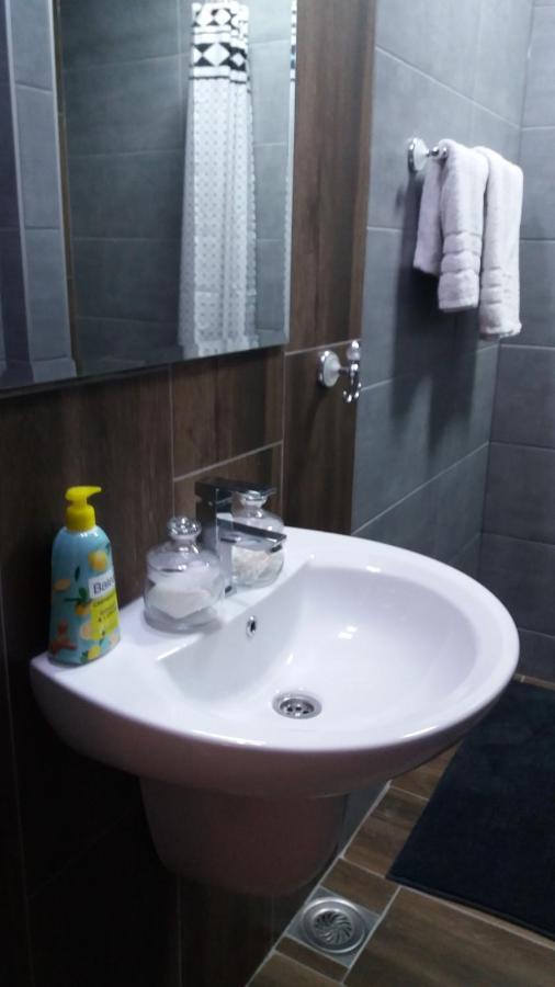 Stan Na Dan Dunja 2 Apartment Vrsac Ngoại thất bức ảnh